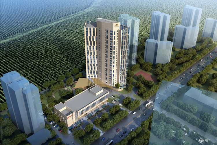 不负春光起好步，，希尔顿逸林旅馆公寓项目银行主体封顶大吉